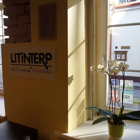 Litinterp 维尔纽斯